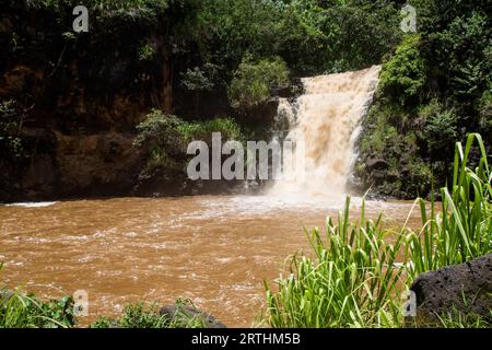 Waimea Falls nach starken Regenfällen im Waimea Valley auf Oahu, Hawaii, USA Stockfoto