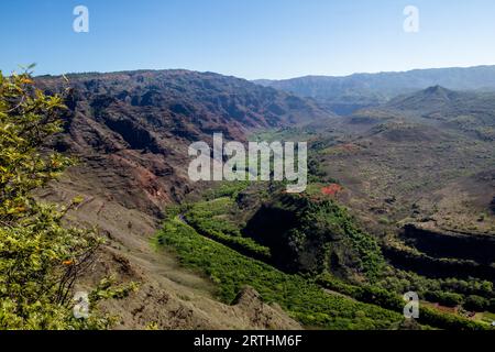 Blick über den Waimea Canyon auf Kauai, Hawaii, USA Stockfoto