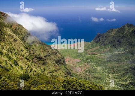 Blick ins Kalalau Valley an der Na Pali Coast auf Kauai, Hawaii, USA Stockfoto