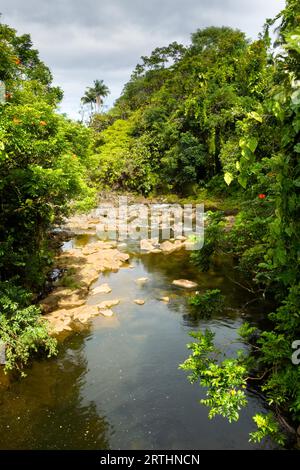 Kleiner Bach im Akaka Falls State Park auf Big Island, Hawaii, USA Stockfoto