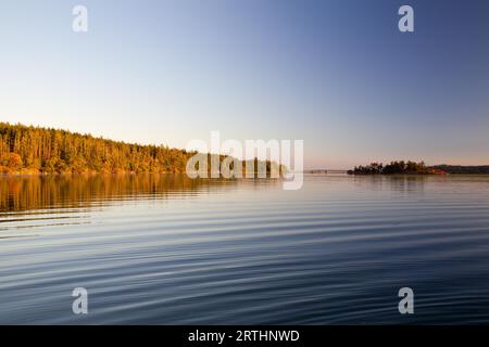 Abendliche Atmosphäre auf Sidney Island, Vancouver Island, British Columbia, Kanada Stockfoto