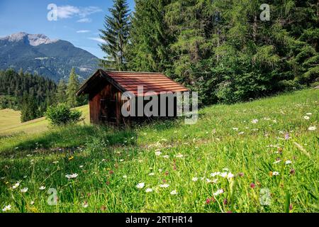 Wiesenlandschaft mit Wildblumen an einer Holzhütte im Sommer Stockfoto
