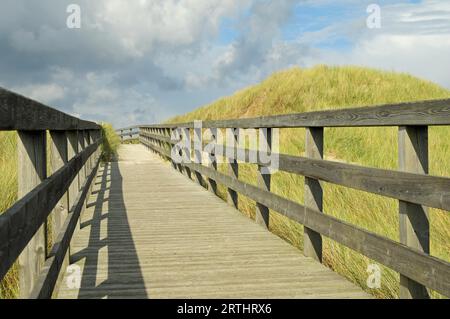 Zugang zum Strand über den Dünen Stockfoto