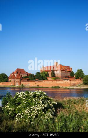 Schloss Malbork in Polen, Blick über den Fluss Nogat, mittelalterliche Festung des Ordens der Deutschen Ritter aus dem 13. Jahrhundert Stockfoto