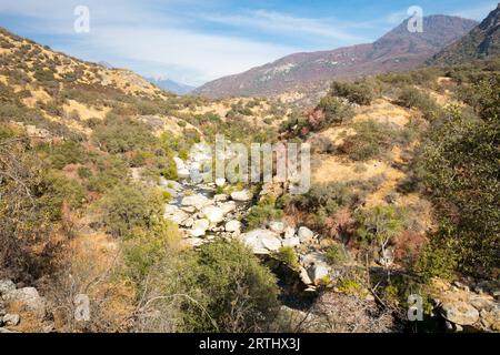 Talblick am Eingang zum Sequoia National Park auf Generals Highway in Kalifornien, USA Stockfoto