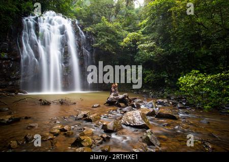 Der berühmte Ellinjaa Falls Wasserfall in der Atherton Tablelands Gegend von Queensland, Australien Stockfoto