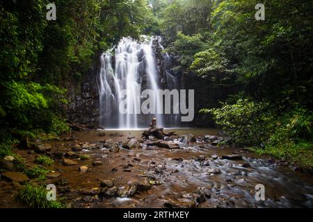 Der berühmte Ellinjaa Falls Wasserfall in der Atherton Tablelands Gegend von Queensland, Australien Stockfoto