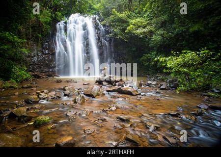 Der berühmte Ellinjaa Falls Wasserfall in der Atherton Tablelands Gegend von Queensland, Australien Stockfoto