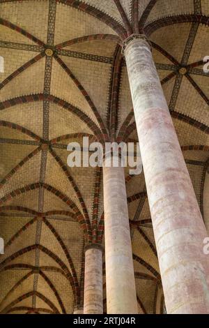 Toulouse, Frankreich, 20. Februar 2016: Säulen und Decke der Basilika im Augustischen Kloster Stockfoto