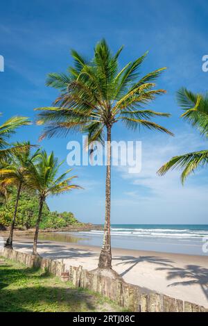 Spektakulärsten und eindrucksvollsten Paradiesstrand in Itacare Bahia Staat Brasilien Nordosten Stockfoto