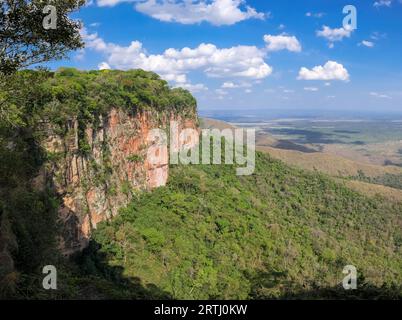 Panoramaaussicht von den Klippen im Nachmittagslicht zum Tal, Drohnenfotografie, Chapada dos Guimaraes, Mato Grosso, Brasilien, Südamerika Stockfoto