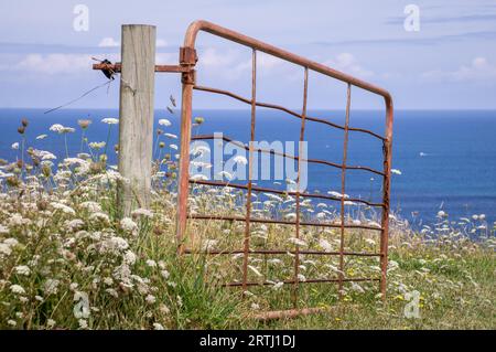 Rostiges offenes Tor in grüner Wiese mit Blumen Stockfoto