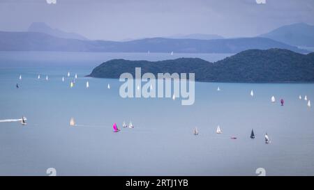 Blick auf Segelregatta auf Whitsunday Islands von einem Berg in der Nähe von Airlie Beach, Queensland, Australien Stockfoto