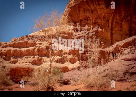 Der Abu Khashaba Canyon ist ein beliebter Anblick in der Wüste Wadi Rum. Viele Touristen besuchen Wadi Rum, die schönste Wüste Jordaniens, wenn nicht sogar die Stockfoto