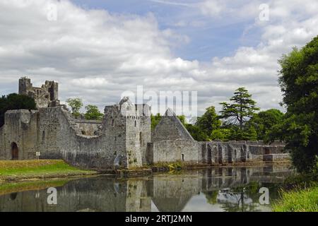 Das Desmond Castle befindet sich am Rande des Dorfes Adare, gleich neben der N21 an der Hauptstraße Limerick nach Kerry Stockfoto