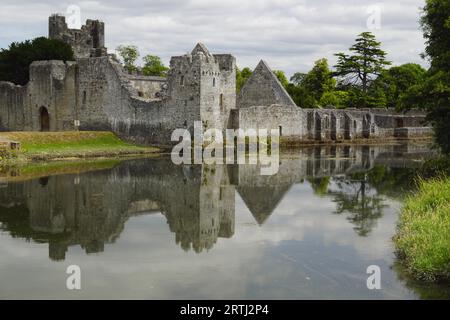 Das Desmond Castle befindet sich am Rande des Dorfes Adare, gleich neben der N21 an der Hauptstraße Limerick nach Kerry Stockfoto