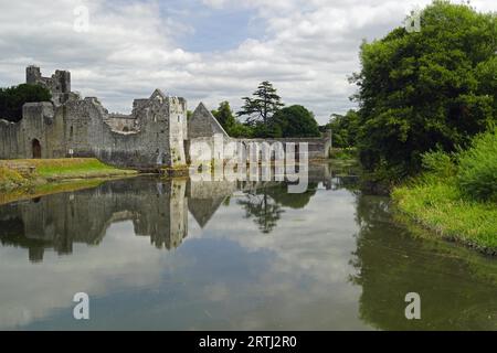 Das Desmond Castle befindet sich am Rande des Dorfes Adare, gleich neben der N21 an der Hauptstraße Limerick nach Kerry Stockfoto