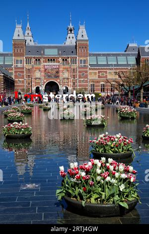 Tulpendekorationen spiegeln sich im Frühling im Brunnen vor dem Rijksmuseum in Amsterdam, Niederlande Stockfoto