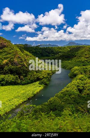 Kajakfahrer auf dem berühmten Wailua River, der in der Nähe der Secret Grotto an der Ostküste der hawaiianischen Insel Kauai fließt Stockfoto