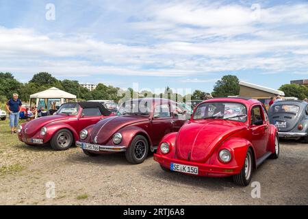 Celle, Deutschland, 7. August 2016: Mehrere Volkswagen KAEFER beim jährlichen KAEFER-Treffen Stockfoto