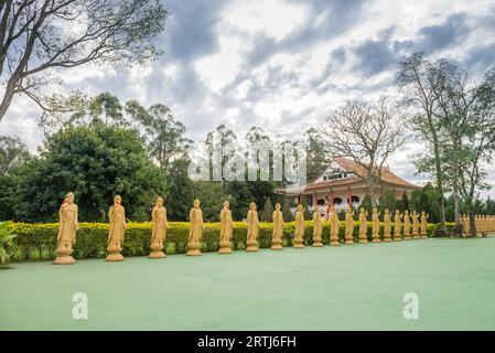 Viele Buddha-Statuen aus der Perspektive des buddhistischen Tempels in Foz do iguacu, Brasilien Stockfoto