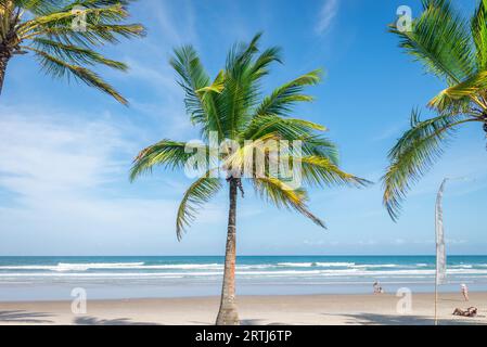 Itacare, Brasilien, 7. Dezember 2016: Spektakulärer und beeindruckender Paradiesstrand am Itacare Bahia-Bundesstaat Brasilien im Nordosten Stockfoto