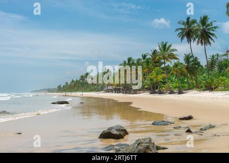 Itacare, Brasilien, 7. Dezember 2016: Erstaunliche grüne Natur am Strand von Itacarezinho in Bahia Stockfoto