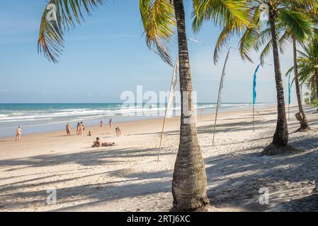 Itacare, Brasilien, 7. Dezember 2016: Spektakulärer und beeindruckender Paradiesstrand am Itacare Bahia-Bundesstaat Brasilien im Nordosten Stockfoto