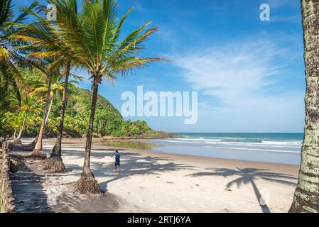 Itacare, Brasilien, 7. Dezember 2016: Spektakulärer und beeindruckender Paradiesstrand am Itacare Bahia-Bundesstaat Brasilien im Nordosten Stockfoto