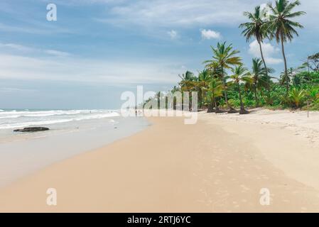 Itacare, Brasilien, 7. Dezember 2016: Erstaunliche grüne Natur am Strand von Itacarezinho in Bahia Stockfoto