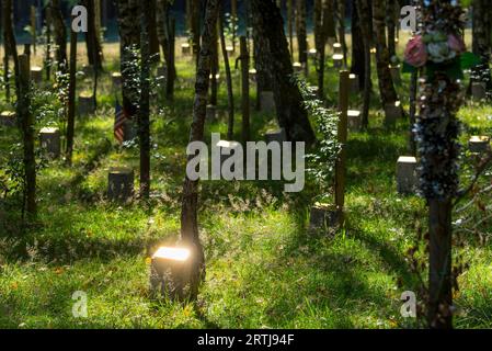 Glänzende Gedenksteine für gefallene amerikanische Soldaten in Bois de la Paix, Gedenkstätte für die Ardennenschlacht in Bizory, Bastogne, Belgien Stockfoto