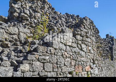 Dicke Steinmauer der mittelalterlichen Burg, die zwei Arten von Mauerwerk zeigt, Schutt auf der Innenseite und regelmäßig geschnittener Stein, genannt Ashlar, auf der Außenseite Stockfoto