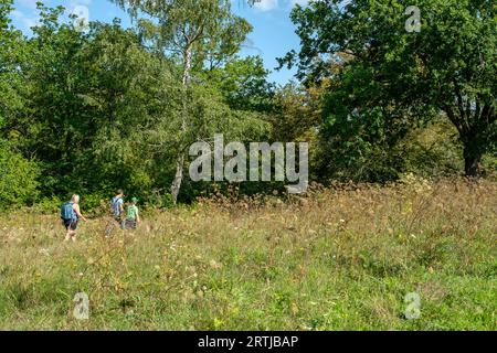 Das Naturreservat Furfooz liegt im Tal der Lesse und bietet sowohl archäologische als auch geologische Stätten in geschützter Natur. | Lage Stockfoto