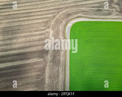 Teutschenthal, Deutschland. September 2023. Der Kontrast zwischen einem bereits geernteten Feld und einem frisch grünen Feld ist auffällig. (Luftbild mit Drohne) Kredit: Jan Woitas/dpa/Alamy Live News Stockfoto