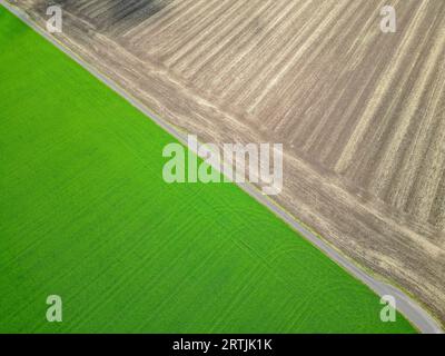 Teutschenthal, Deutschland. September 2023. Der Kontrast zwischen einem bereits geernteten Feld und einem frisch grünen Feld ist auffällig. (Luftbild mit Drohne) Kredit: Jan Woitas/dpa/Alamy Live News Stockfoto