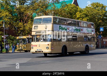 Oldtimer-Busse auf dem Tag des offenen Denkmals in Berlin 2023 Stockfoto