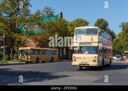 Oldtimer-Busse auf dem Tag des offenen Denkmals in Berlin 2023 Stockfoto