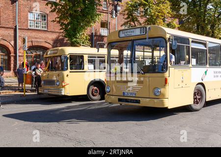 Oldtimer-Busse auf dem Tag des offenen Denkmals in Berlin 2023 Stockfoto