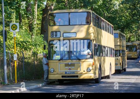 Oldtimer-Busse auf dem Tag des offenen Denkmals in Berlin 2023 Stockfoto