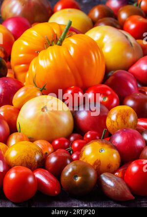 Tomaten verschiedener Sorten und Größen auf einem eisernen Tablett auf einem Holztisch. Stockfoto