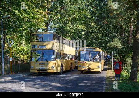 Oldtimer-Busse auf dem Tag des offenen Denkmals in Berlin 2023 Stockfoto