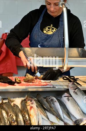 Frau, die am Frischfischstand auf dem Mercado do Bolhão-Markt serviert und Austern mit Fisch auf Eis vor sich öffnet Stockfoto