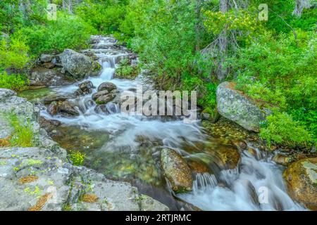 Kaskaden auf einem Cottonwood Creek in den verrückten Bergen in der Nähe von clyde Park, montana Stockfoto