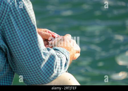 Ein Mann putzt frischen Fisch von Hand in der Nähe des Meeres. Selektiver Fokus eingeschlossen. Offener Bereich. Stockfoto
