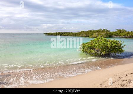 Leerer deutscher Strand (Playa de los Alemanes) auf der Insel Santa Cruz, Galapagos Nationalpark, Ecuador. Stockfoto