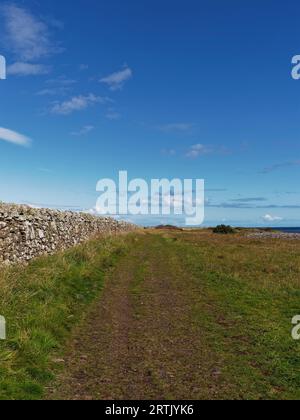 Der Küstenwanderweg zwischen Johnshaven und Inverbervie neben einer geraden Drystone Wall an einem warmen sonnigen Tag im September. Stockfoto