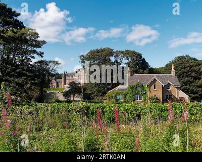 Die Lathallan School und die zugehörigen Cottages liegen am Küstenwanderweg außerhalb des Fischerdorfes Johnshaven in Aberdeenshire. Stockfoto