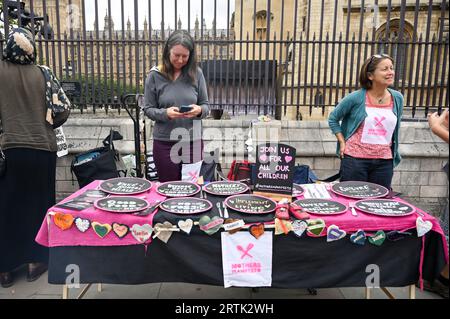 Parlament, London, Großbritannien. September 2023. Mothers Manifesto Demonstration: Jede vierte Mutter mit niedrigem Einkommen verzichtet auf Mahlzeiten, um ihre Kinder zu ernähren. Außerdem geht jedes vierte Kind in Großbritannien an jedem Muttertag hungrig zur Schule. Der Muttertag ist ein Tag, an dem Mütter, die nicht in der Lage sind, ihre Kinder zu ernähren, in einem Hungerstreik einmütig und solidarisch vor dem Parlament stehen. Kredit: Siehe Li/Picture Capital/Alamy Live News Stockfoto