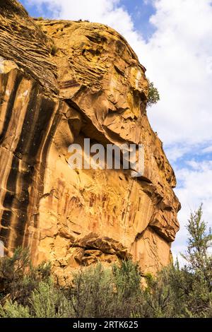 Sego Rock Art, Sego Canyon, Utah. Stockfoto