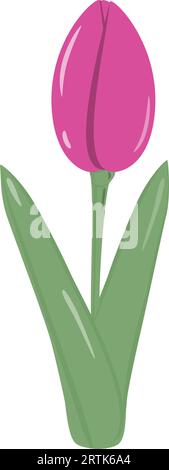 Isolierte blühende hellrosa Tulpenblüte für einen Blumenstrauß in trendigen, weichen Farbtönen. Springime. Aufkleber. Symbol. EPS. Vektordesign für Poster, Banner, Broschüre, Grußkarten oder Karten, Preisschild, Label oder Web Stock Vektor